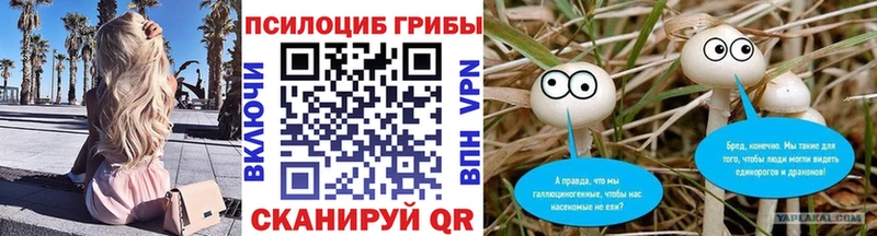 кракен tor  даркнет сайт  Кандалакша  Псилоцибиновые грибы ЛСД 