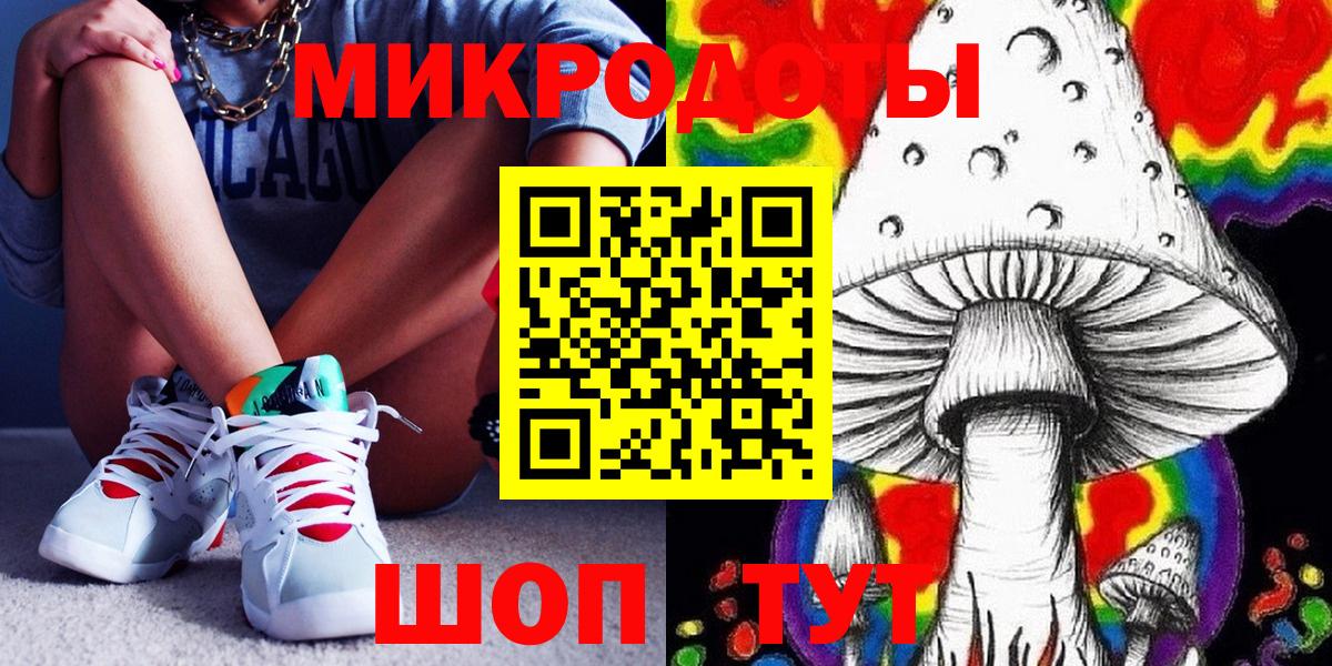 Псилоцибиновые грибы прущие грибы Кандалакша